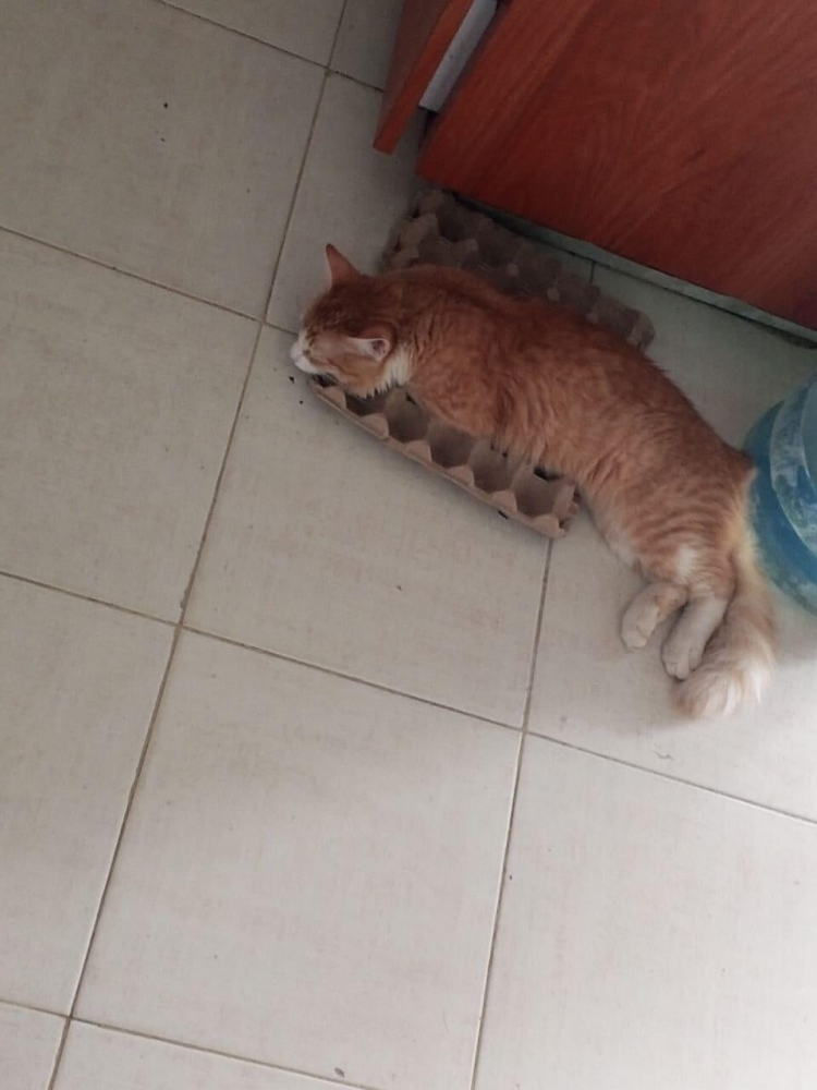 
        25&nbsp;фото очаровательных симпатяг, открытость которых растопит даже ледяное сердце    