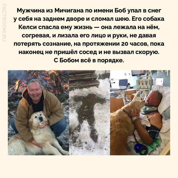 Мем №1594365