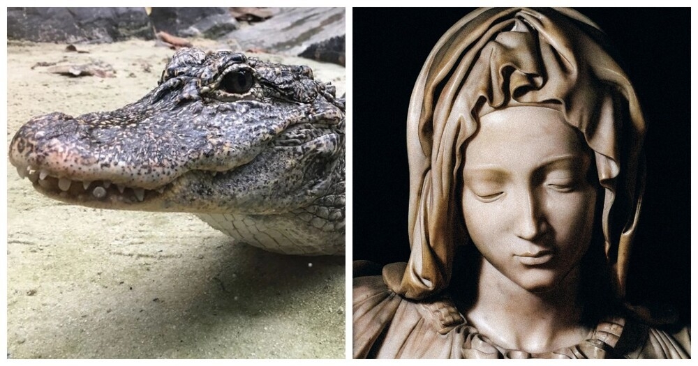 
        8&nbsp;фактов, которые заставят переосмыслить кое-что в&nbsp;этой жизни    