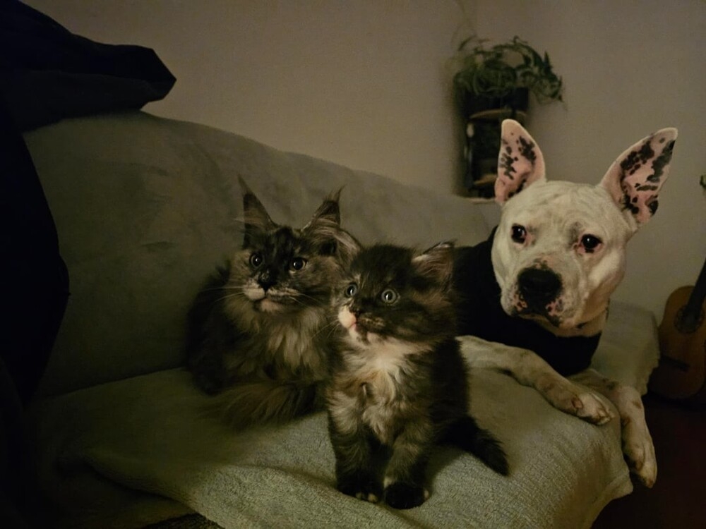 
        25&nbsp;фото очаровательных симпатяг, открытость которых растопит даже ледяное сердце    