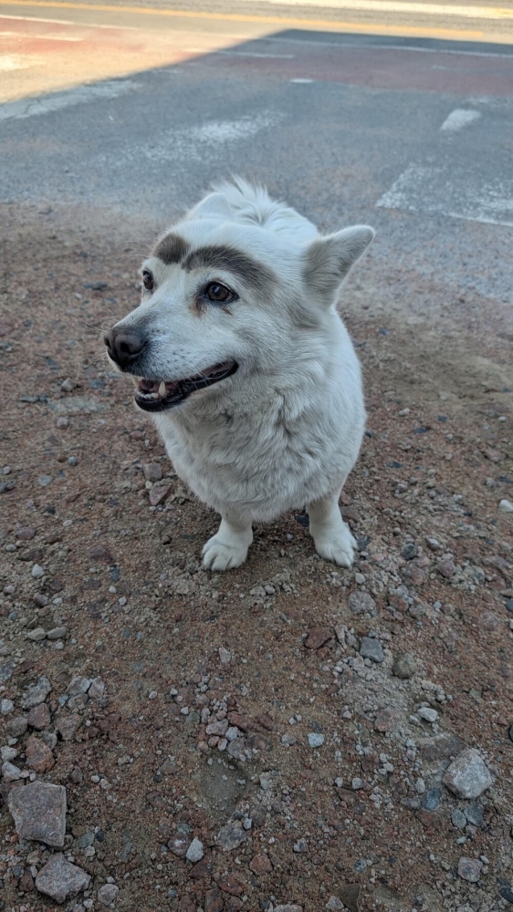 
        25&nbsp;фото очаровательных симпатяг, открытость которых растопит даже ледяное сердце    