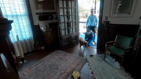 
        Пёс&nbsp;встречает свою хозяйку, недавно вернувшуюся из&nbsp;космоса    