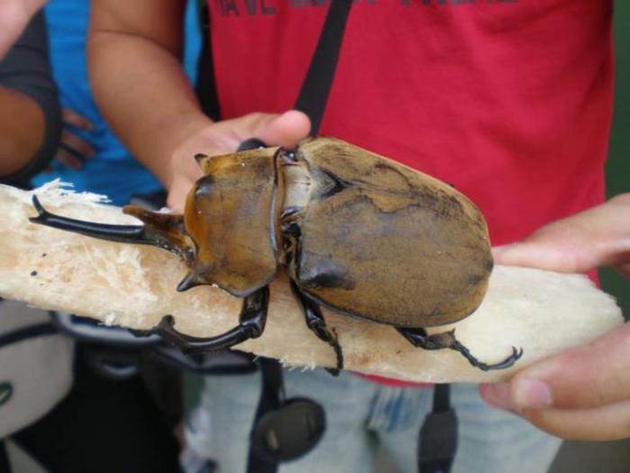 Подборка прикольных фото №3930