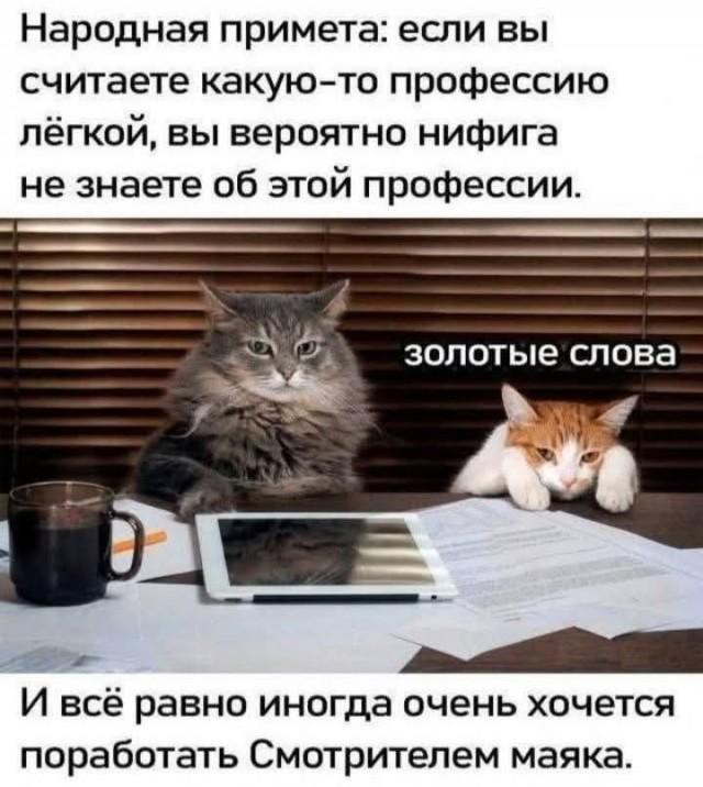 Подборка прикольных фото №3926