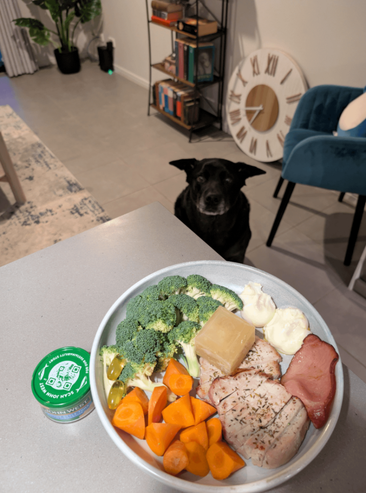 
        25&nbsp;фото очаровательных симпатяг, открытость которых растопит даже ледяное сердце    