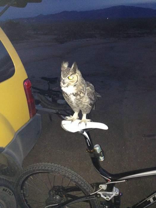 Подборка прикольных фото №3929