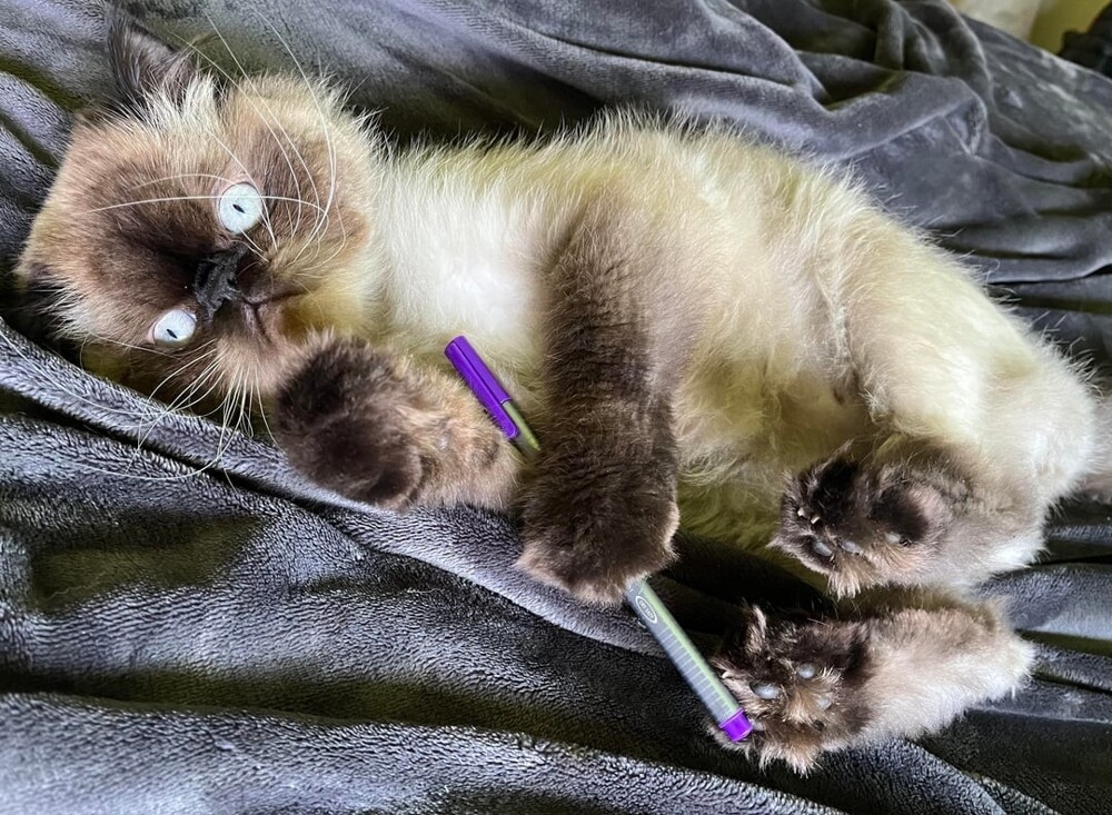 
        25&nbsp;фото очаровательных симпатяг, открытость которых растопит даже ледяное сердце    