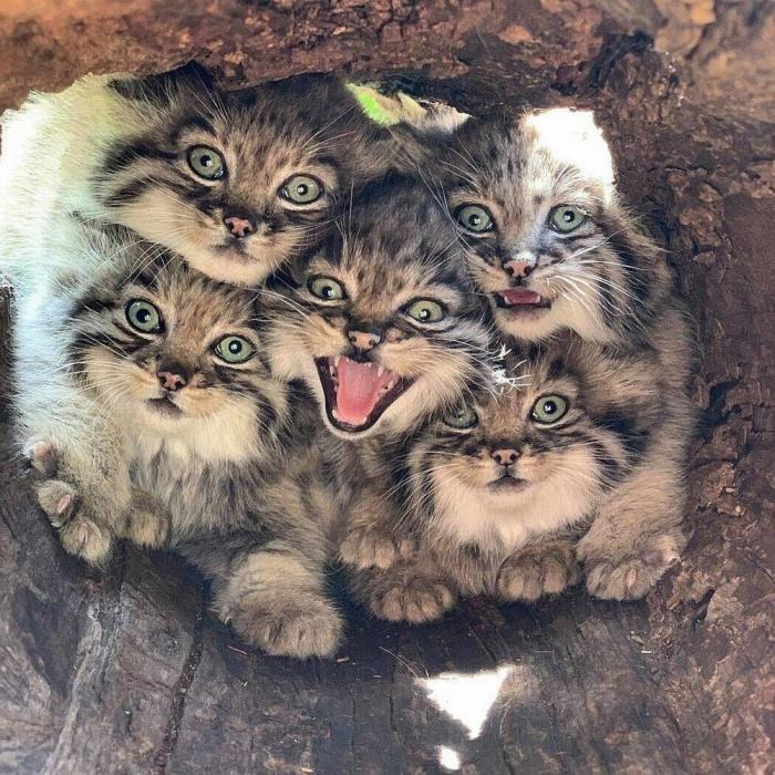 Подборка прикольных фото №3921