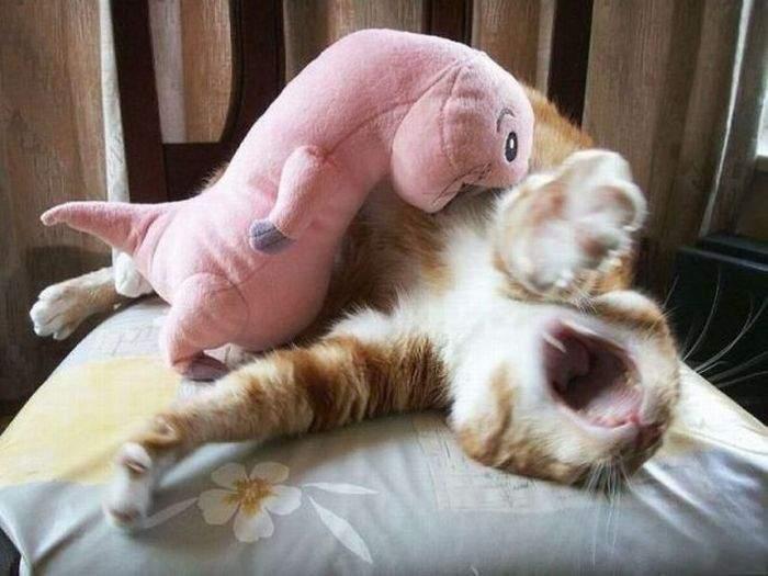 Подборка прикольных фото №3926