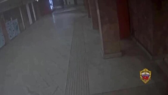 
        Москвич ранил ножом грабителя    