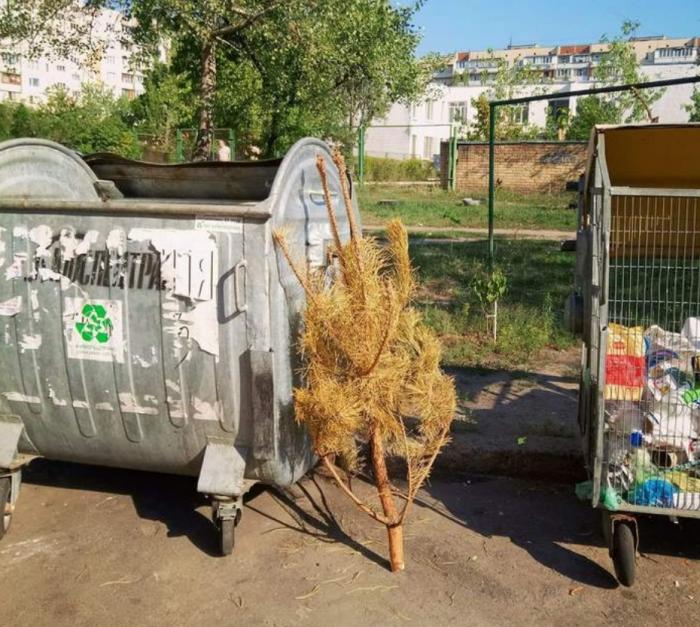 Подборка прикольных фото №3933