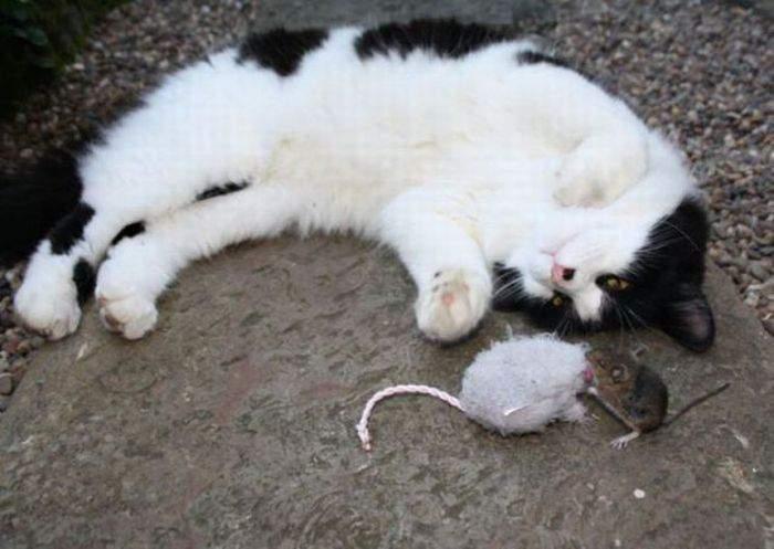 Подборка прикольных фото №3924