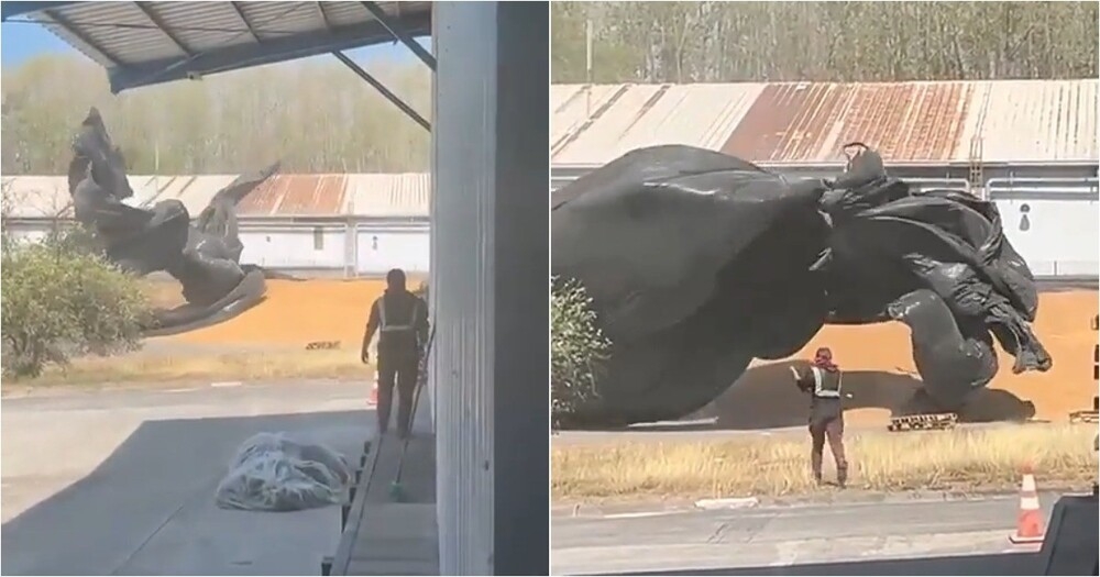 
        Пакет устроил шоу&nbsp;во&nbsp;дворе    
