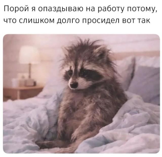 Подборка прикольных фото №3930