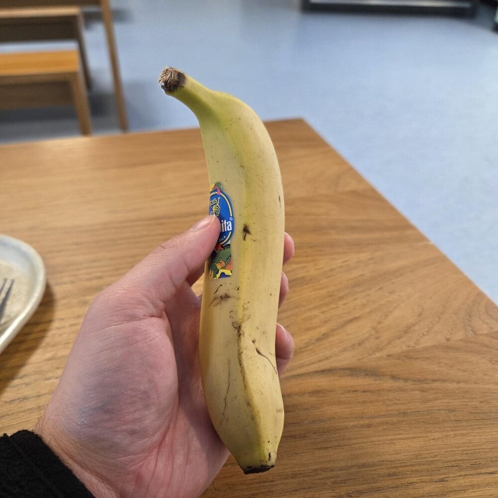 
        22&nbsp;случая, когда мать-природа включила режим &laquo;рояль в&nbsp;кустах&raquo;    