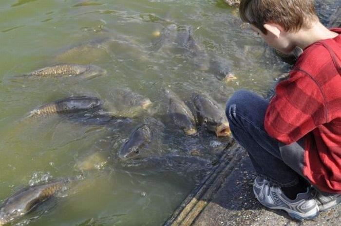 Подборка прикольных фото №3934