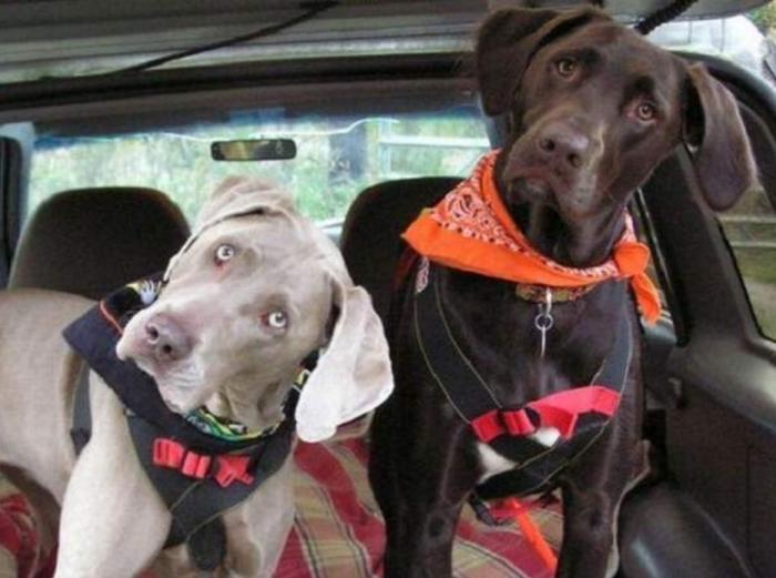 Подборка прикольных фото №3926