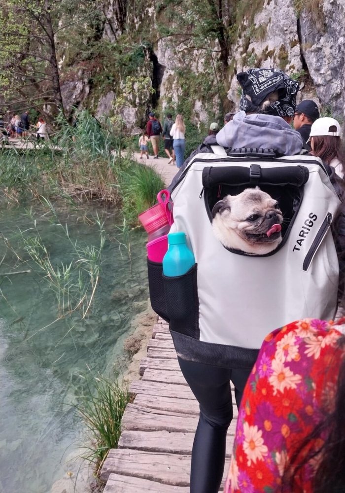 
        25&nbsp;фото очаровательных симпатяг, открытость которых растопит даже ледяное сердце    