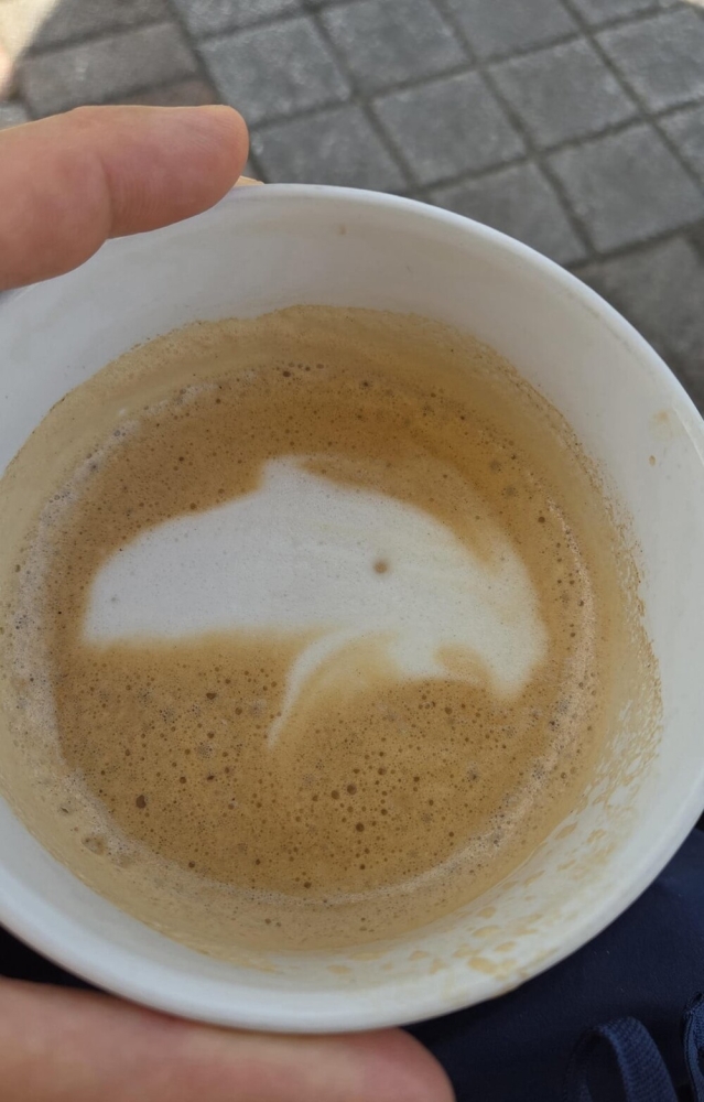 
        25&nbsp;историй о&nbsp;том, как&nbsp;увлечённо мир&nbsp;рисует для&nbsp;нас&nbsp;мультики    