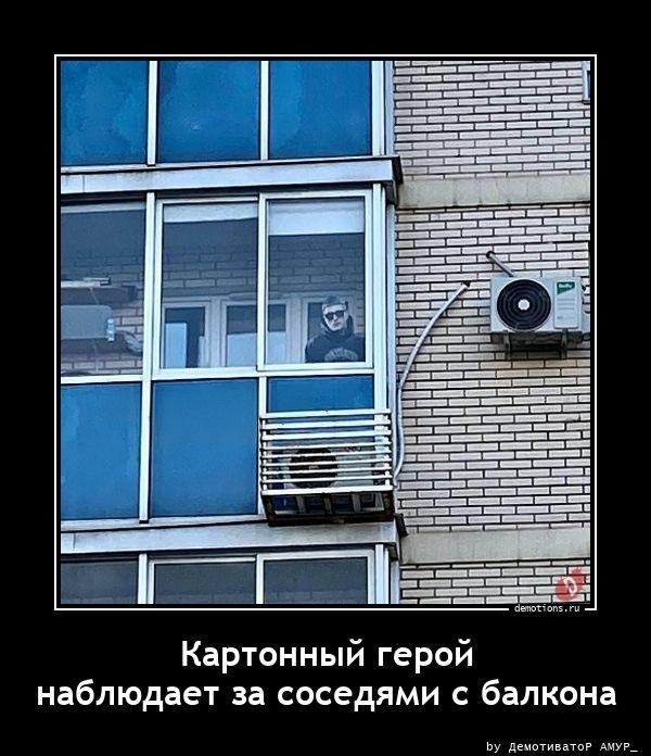 
			Демотиваторы №3795 (20 фото)