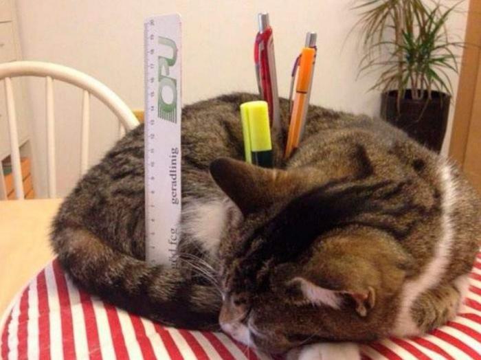 Подборка прикольных фото №3935