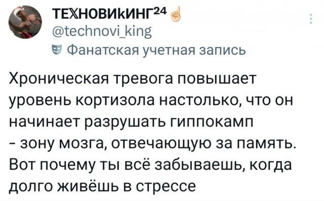 Подборка забавных твитов обо всем