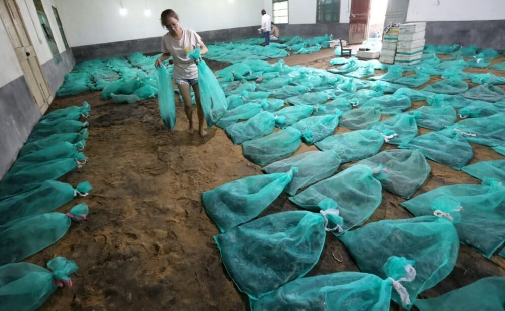 
        Опасный бизнес девушки из&nbsp;Китая    