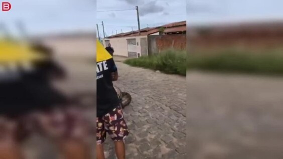 
        Мужчина против 3-метрового удава    