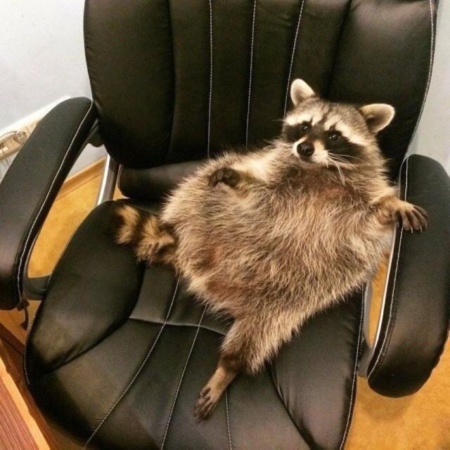 Подборка прикольных фото №3936