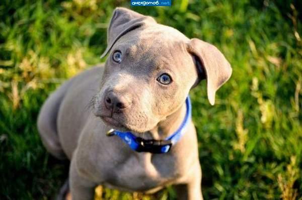 Подборка прикольных фото №3925