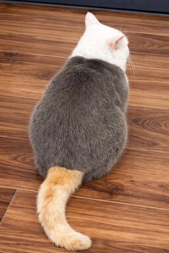 Подборка прикольных фото №3923