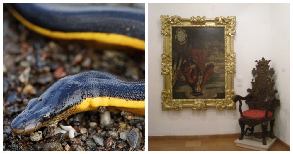 
        От&nbsp;недовольного воскресшего до&nbsp;обезболивающих скатов: 8&nbsp;исторических фактов, в&nbsp;которые трудно поверить, но&nbsp;они&nbsp;правдивы    