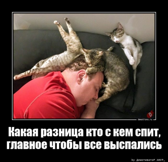 
			Демотиваторы №3792 (20 фото)