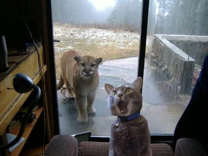 Подборка прикольных фото №3936