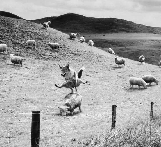 История №1593234