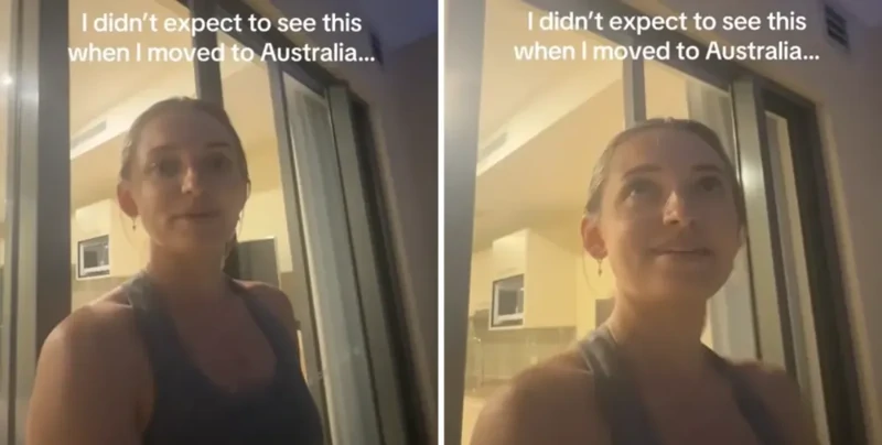 
        Австралия снова удивляет: тысячи летучих мышей заполонили небо    