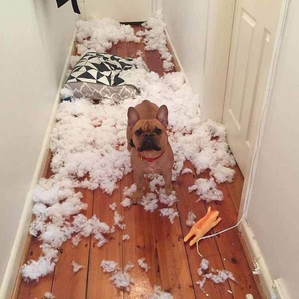 Подборка прикольных фото №3936