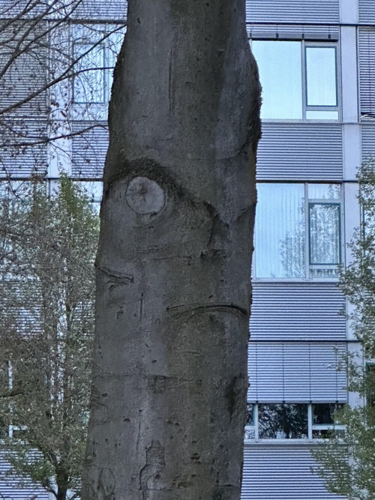 
        25&nbsp;историй о&nbsp;том, как&nbsp;увлечённо мир&nbsp;рисует для&nbsp;нас&nbsp;мультики    