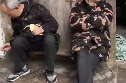 
        Упорно тренируйся и&nbsp;победишь!    