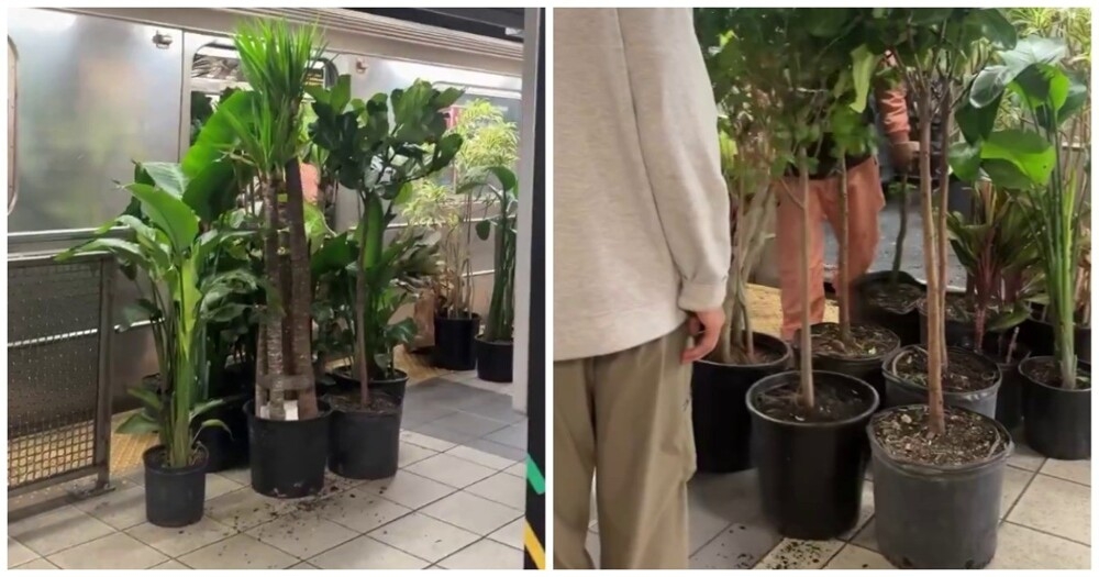 
        Большой переезд у&nbsp;садовника    