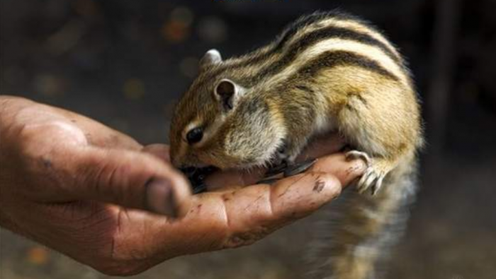 Подборка прикольных фото №3929