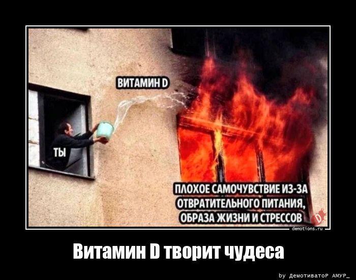 
			Демотиваторы №3795 (20 фото)