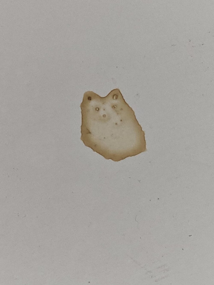 
        25&nbsp;историй о&nbsp;том, как&nbsp;увлечённо мир&nbsp;рисует для&nbsp;нас&nbsp;мультики    