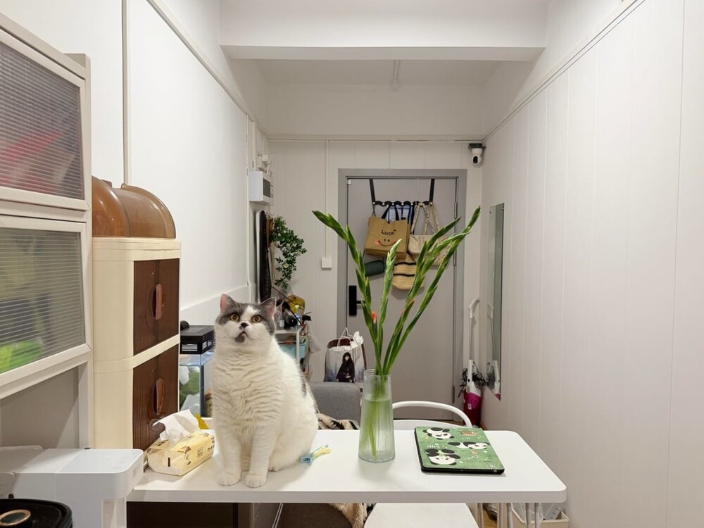 
        25+ пушистых мгновений радости, которые делают нашу жизнь счастливее    