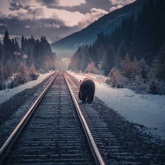 Подборка прикольных фото №3936