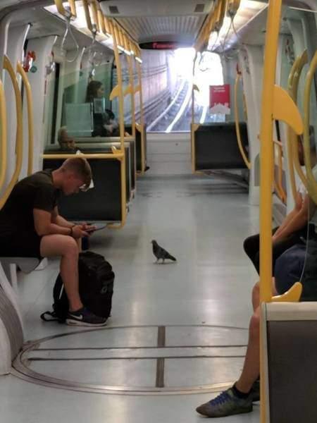 Подборка прикольных фото №3929