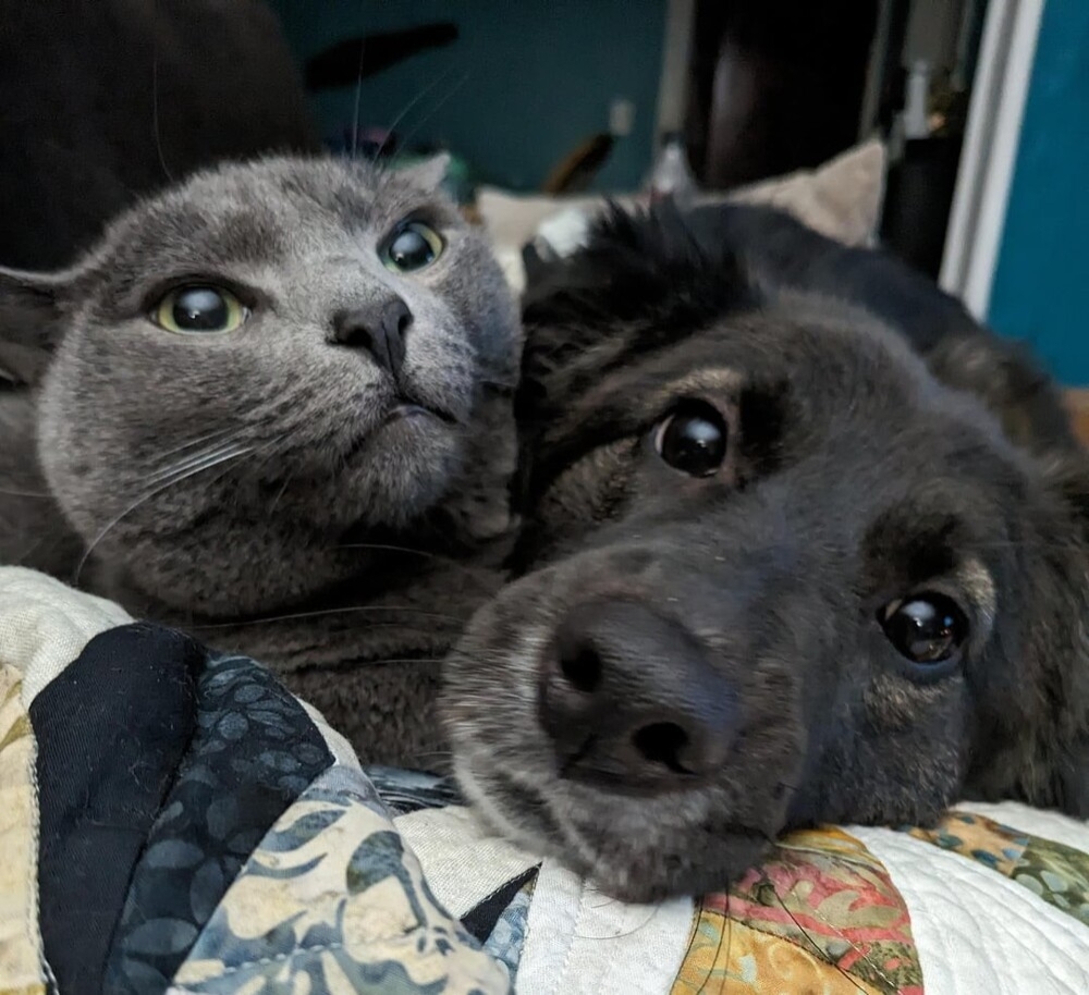 
        25&nbsp;фото очаровательных симпатяг, открытость которых растопит даже ледяное сердце    