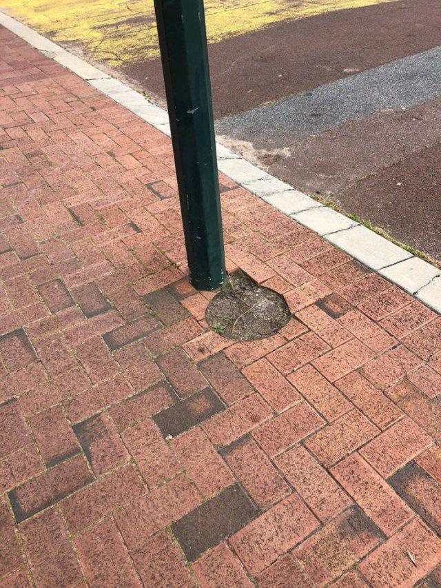 Подборка прикольных фото №3932