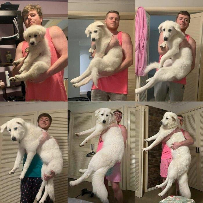 Подборка прикольных фото №3921