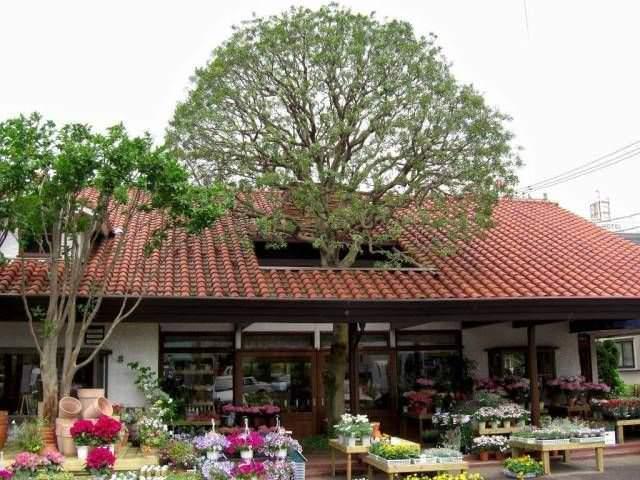 Подборка прикольных фото №3935